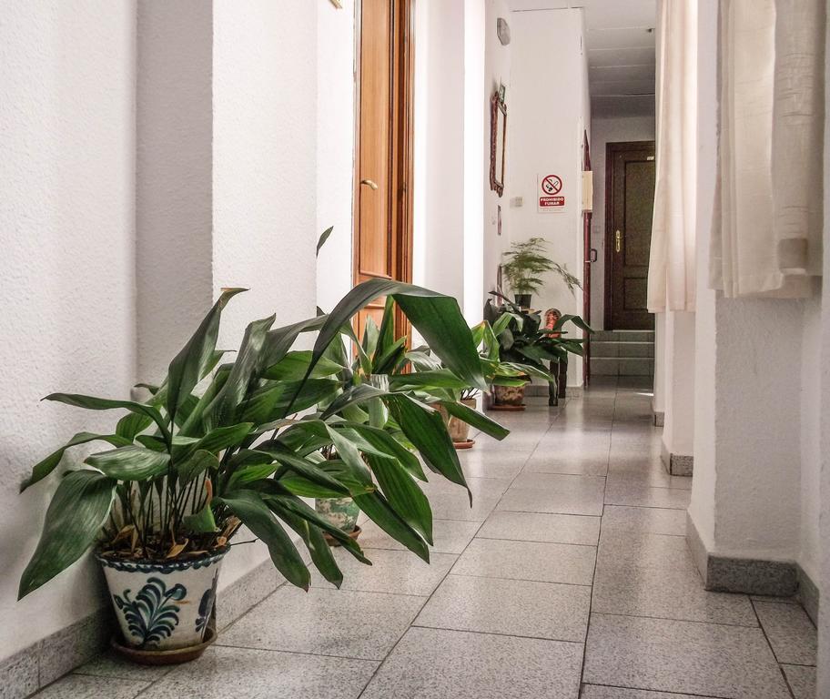 Pension Ciudad Navarro Ramos Granada Exteriör bild